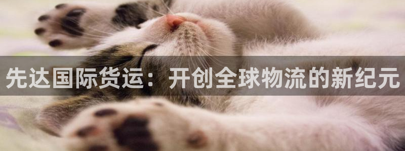 okpay钱包链接：先达国际货运：开创全球物流的新纪元