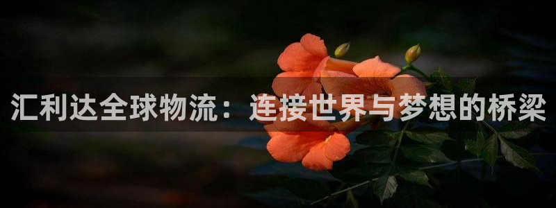 okpay钱包官网入口：汇利达全球物流：连接世界与梦想的