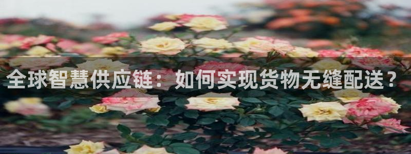 okpay支付钱包：全球智慧供应链：如何实现货物无缝配送