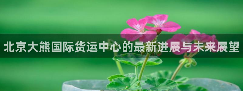 okpay钱包安卓下载：北京大熊国际货运中心的最新进展与
