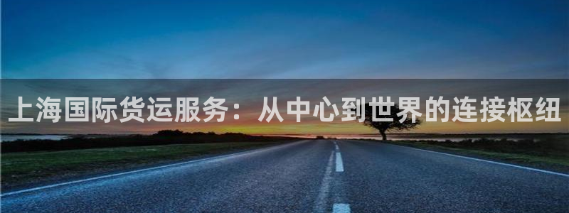 okpay钱包怎么样：上海国际货运服务：从中心到世界的连