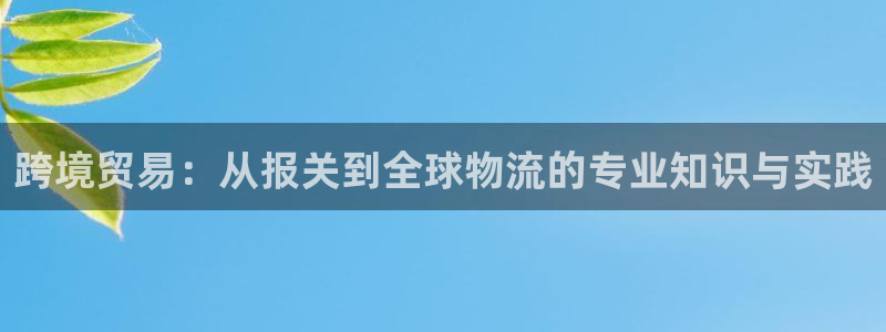 okpay钱包怎么下载：跨境贸易：从报关到全球物流的专业