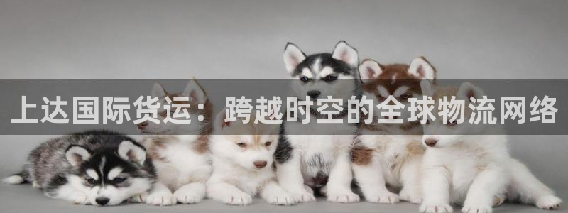 okpay钱包官网入口：上达国际货运：跨越时空的全球物流
