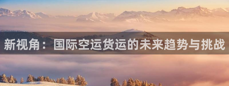 网赌虚拟币okpay钱包：新视角：国际空运货运的未来趋势
