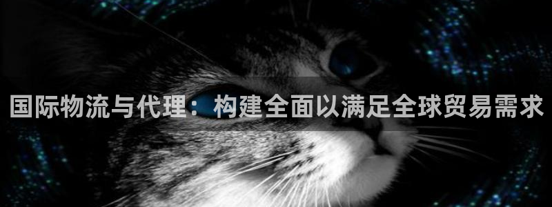 okpay钱包官网入口
