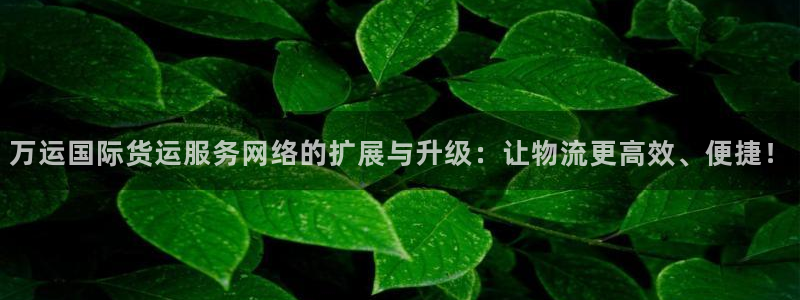 okpay钱包手机版最新版