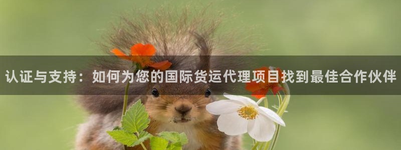 okpay钱包网址