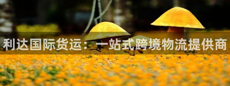 okpay钱包最新版下载