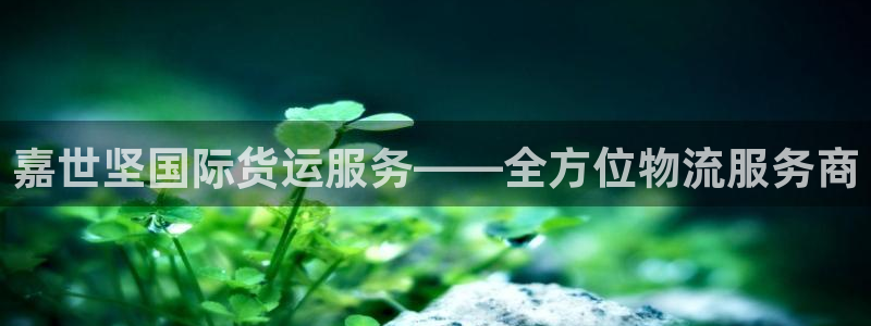 okpay钱包最新版安装方法